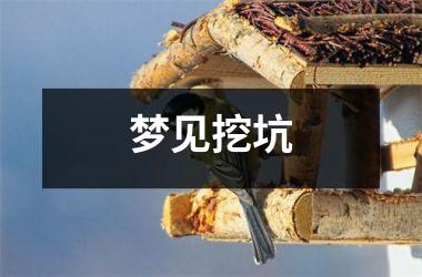 <h3>梦见挖坑