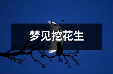 <h3>梦见挖花生