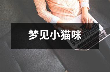 <h3>梦见小猫咪