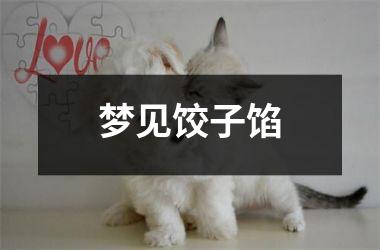 梦见饺子馅