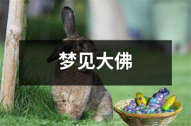 <h3>梦见大佛