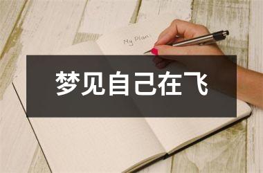 <h3>梦见自己在飞