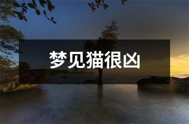 <h3>梦见猫很凶