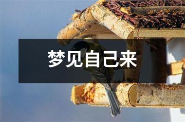 <h3>梦见自己来