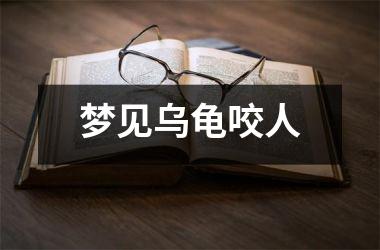 <h3>梦见乌龟咬人