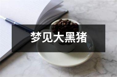 <h3>梦见大黑猪