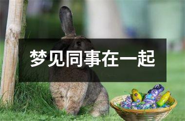 <h3>梦见同事在一起