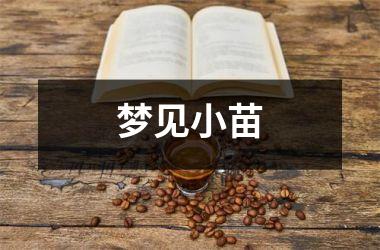 <h3>梦见小苗