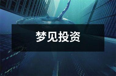 <h3>梦见投资