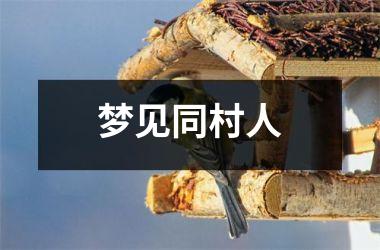 <h3>梦见同村人