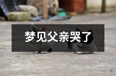 <h3>梦见父亲哭了