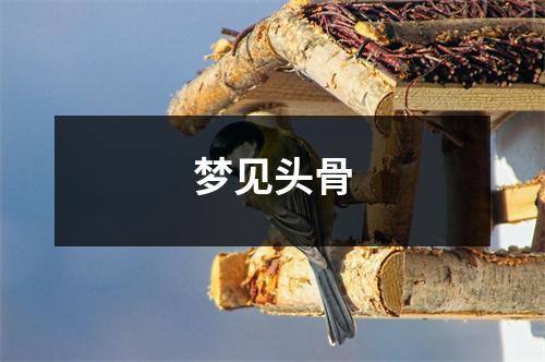 梦见头骨