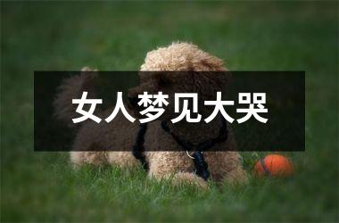 <h3>女人梦见大哭