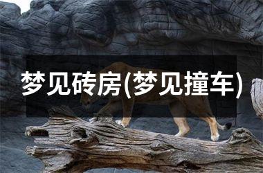 <h3>梦见砖房(梦见撞车)
