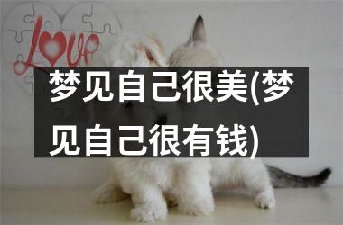 梦见自己很美(梦见自己很有钱)