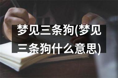 <h3>梦见三条狗(梦见三条狗什么意思)