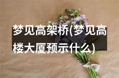 <h3>梦见高架桥(梦见高楼大厦预示什么)