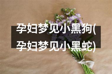 <h3>孕妇梦见小黑狗(孕妇梦见小黑蛇)