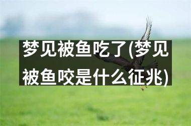 <h3>梦见被鱼吃了(梦见被鱼咬是什么征兆)
