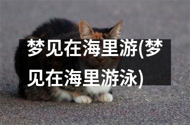 梦见在海里游(梦见在海里游泳)