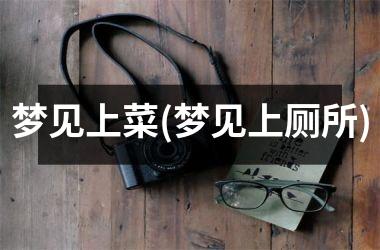 梦见上菜(梦见上厕所)