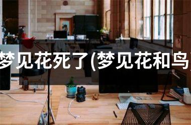 梦见花死了(梦见花和鸟)