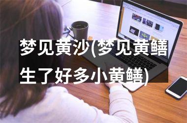 <h3>梦见黄沙(梦见黄鳝生了好多小黄鳝)