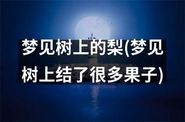<h3>梦见树上的梨(梦见树上结了很多果子)