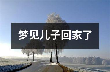 <h3>梦见儿子回家了