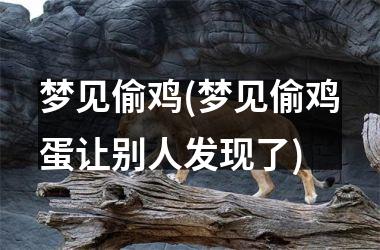 梦见偷鸡(梦见偷鸡蛋让别人发现了)
