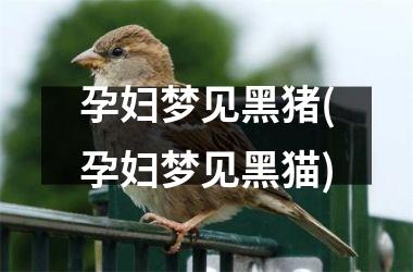 <h3>孕妇梦见黑猪(孕妇梦见黑猫)