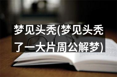 <h3>梦见头秃(梦见头秃了一大片周公解梦)
