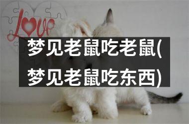 <h3>梦见老鼠吃老鼠(梦见老鼠吃东西)
