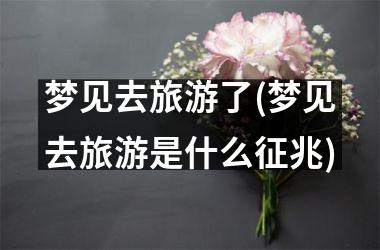 <h3>梦见去旅游了(梦见去旅游是什么征兆)