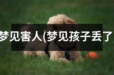<h3>梦见害人(梦见孩子丢了)