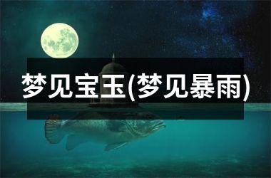 <h3>梦见宝玉(梦见暴雨)