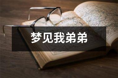 <h3>梦见我弟弟