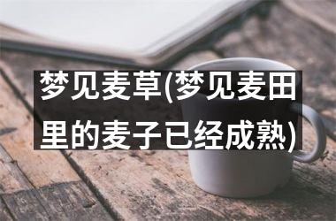 <h3>梦见麦草(梦见麦田里的麦子已经成熟)