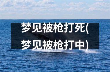 <h3>梦见被枪打死(梦见被枪打中)
