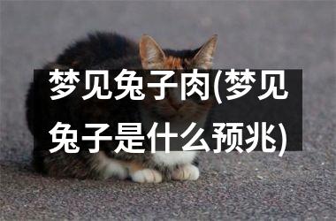 梦见兔子肉(梦见兔子是什么预兆)