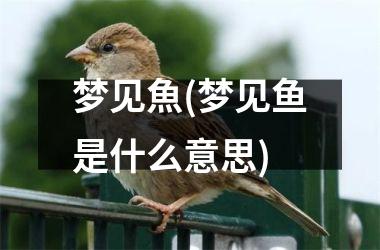 <h3>梦见魚(梦见鱼是什么意思)