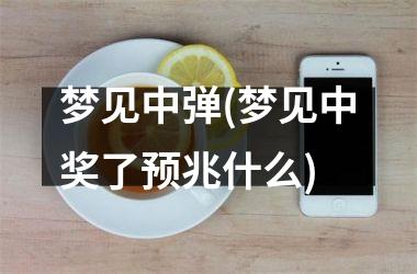 <h3>梦见中弹(梦见中奖了预兆什么)