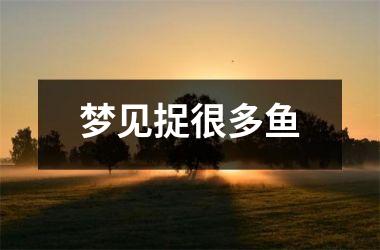 <h3>梦见捉很多鱼