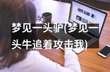 <h3>梦见一头驴(梦见一头牛追着攻击我)