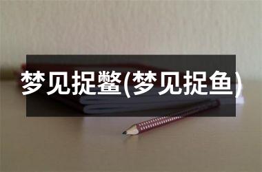 <h3>梦见捉鳖(梦见捉鱼)