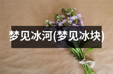 <h3>梦见冰河(梦见冰块)