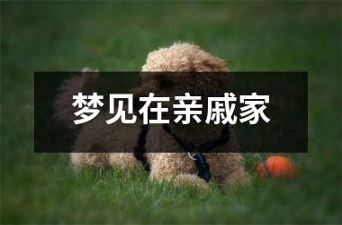 梦见在亲戚家