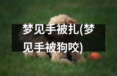 梦见手被扎(梦见手被狗咬)