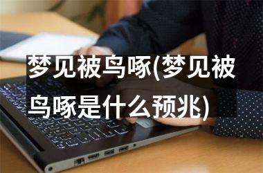 梦见被鸟啄(梦见被鸟啄是什么预兆)