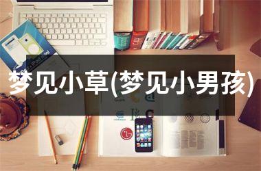 <h3>梦见小草(梦见小男孩)